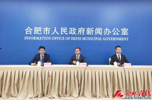 合肥作家爆料新闻最新报道,最新爆料新闻揭秘